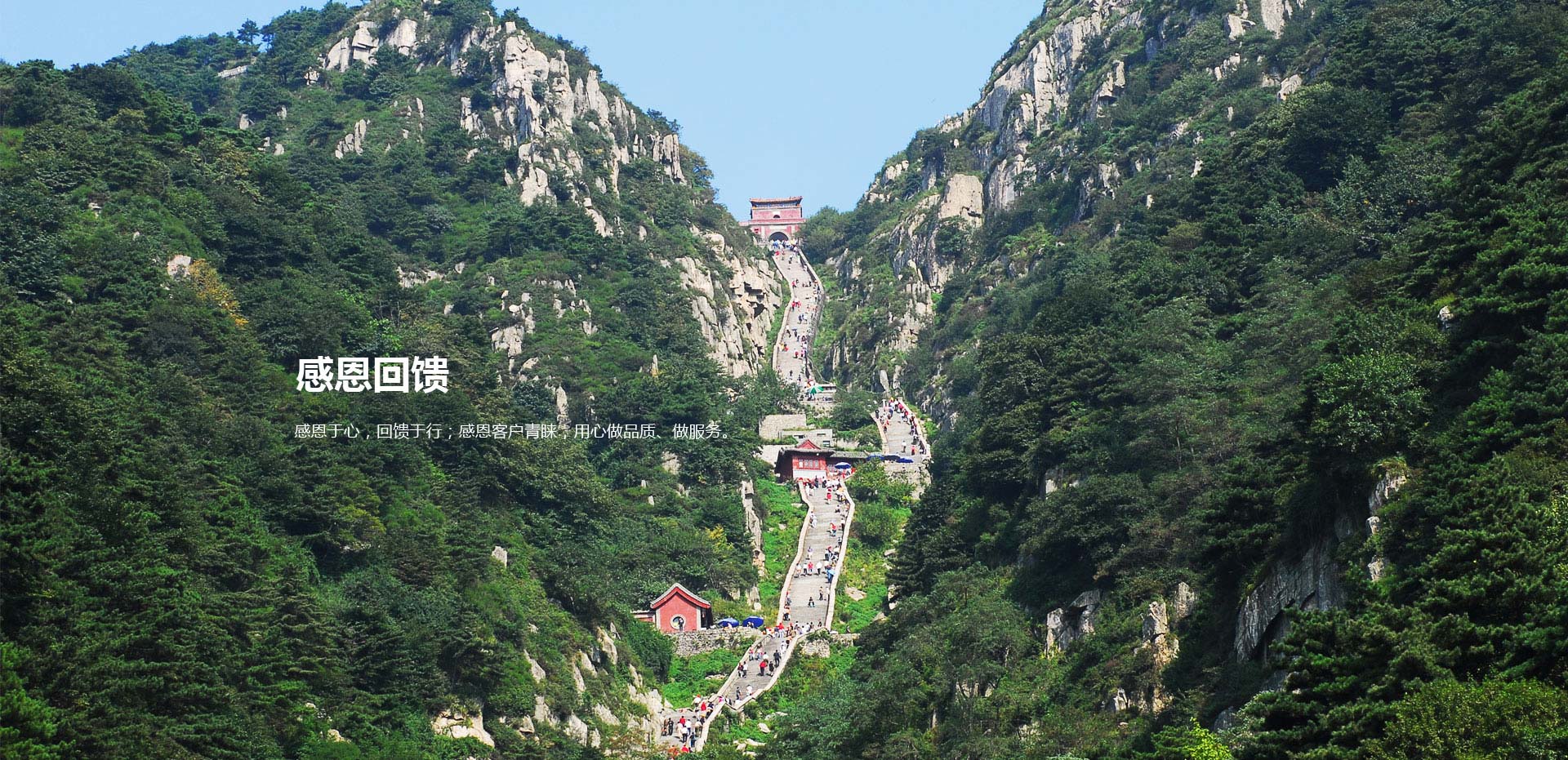 �ж�����